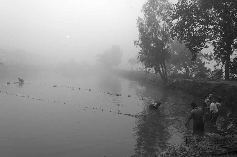 Fish Harvesting - Photo Series By Indian Photographer Ritesh Roy Chowdhury